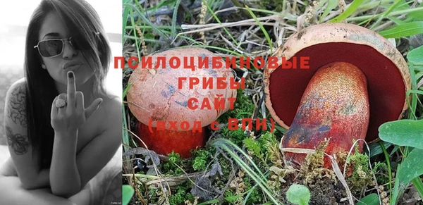 spice Алзамай