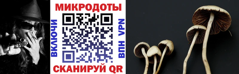 Галлюциногенные грибы мицелий Кола